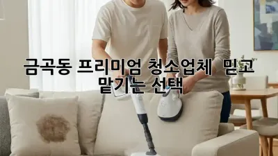 금곡동 프리미엄 청소업체 ✨ 믿고 맡기는 선택!
